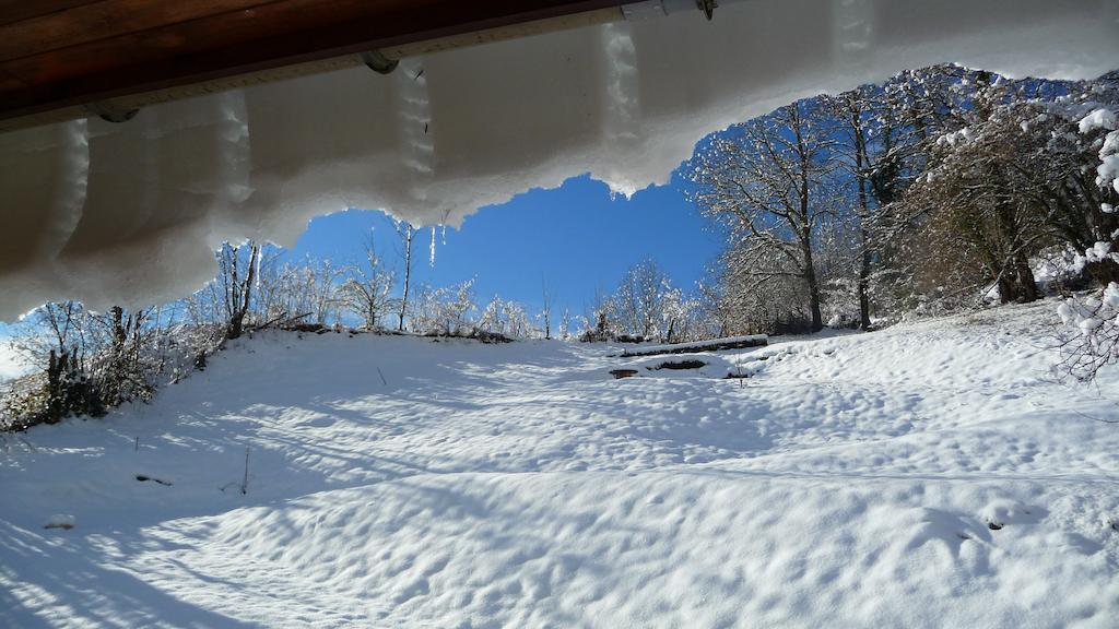 Bed and Breakfast La Chouette à l'heure du Pinson à Saint-Pierre-d'Entremont  Extérieur photo